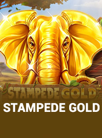 Stampede Gold game cover