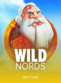 Wild Nords game cover